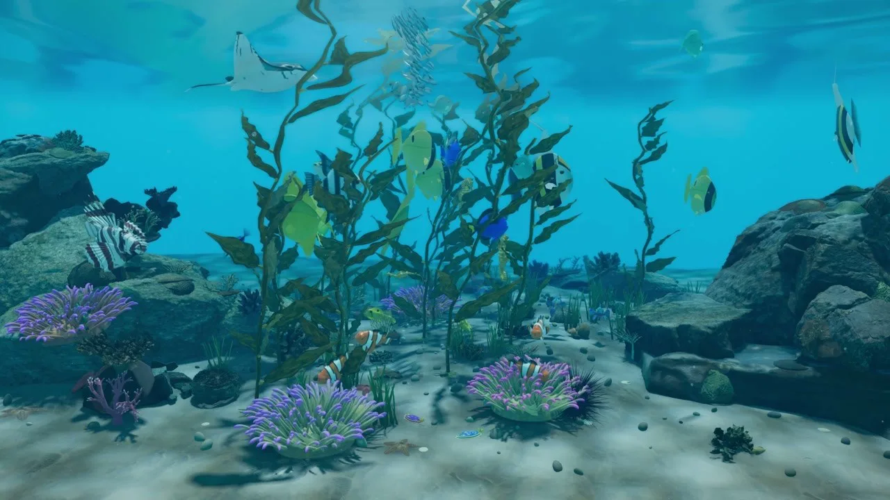 Thumbnail of the film Sunlit Coral Reef