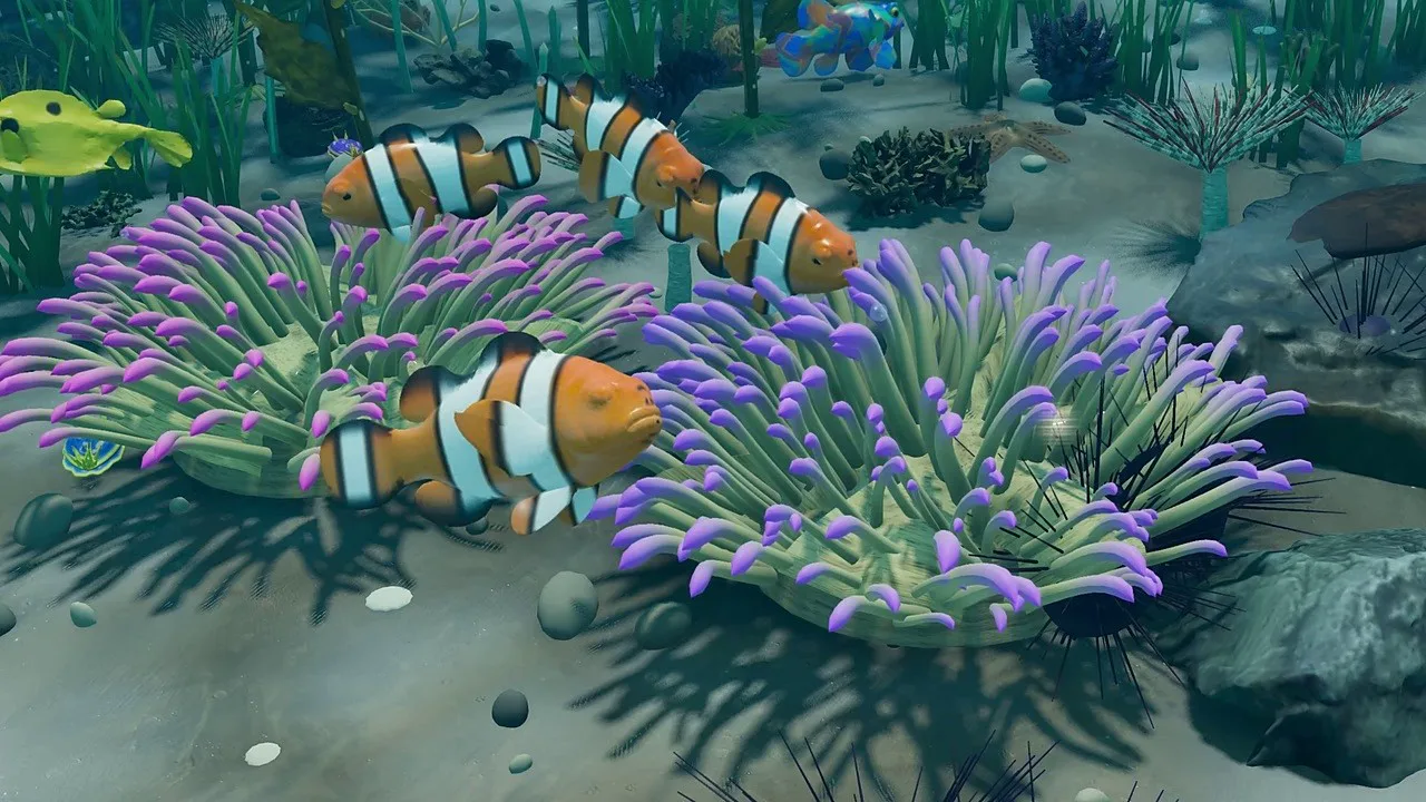 Thumbnail of the film Clownfish Hideaway: Anemone Aquarium