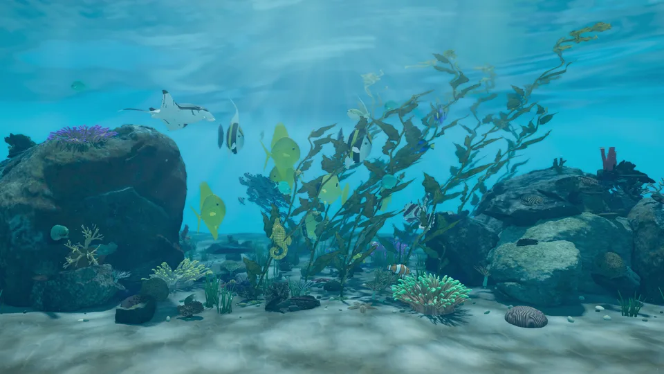 The coral reef: kelp, rocks, anemones and fish in sunlit blue water, a manta ray passing above